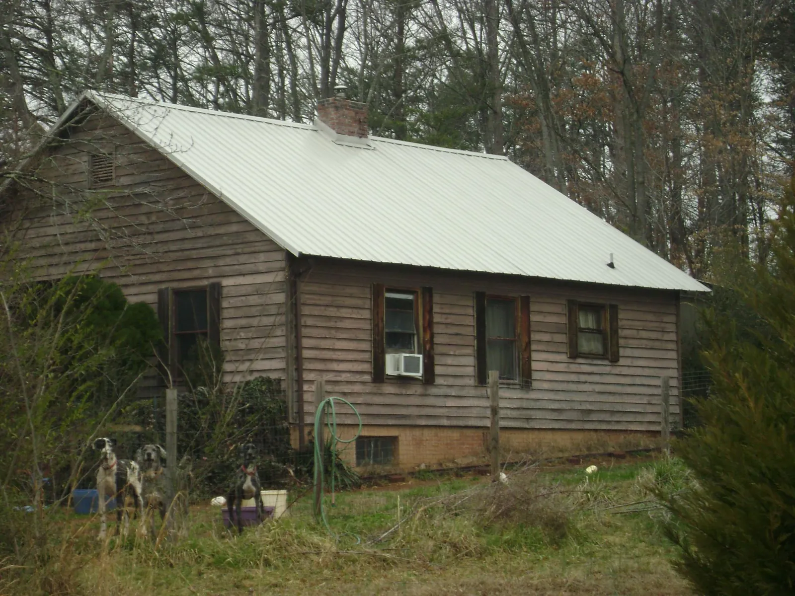 White metal roof on an old wood sided farmhouse, from a Asphalt Shingle Roof Repair job in Maceo